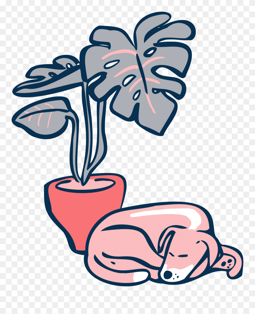 Clip Art - Png Download