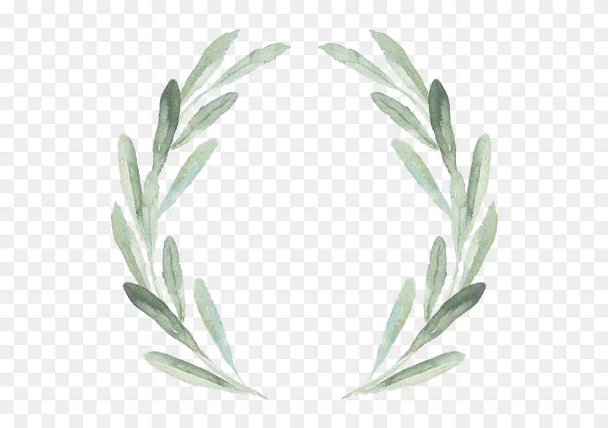 Olive Watercolor Wedding Invite Clipart