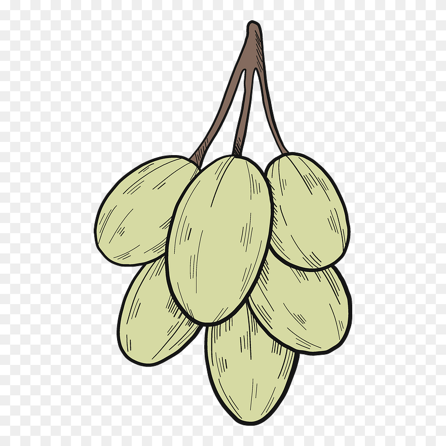 White Grapes Clipart - Png Download