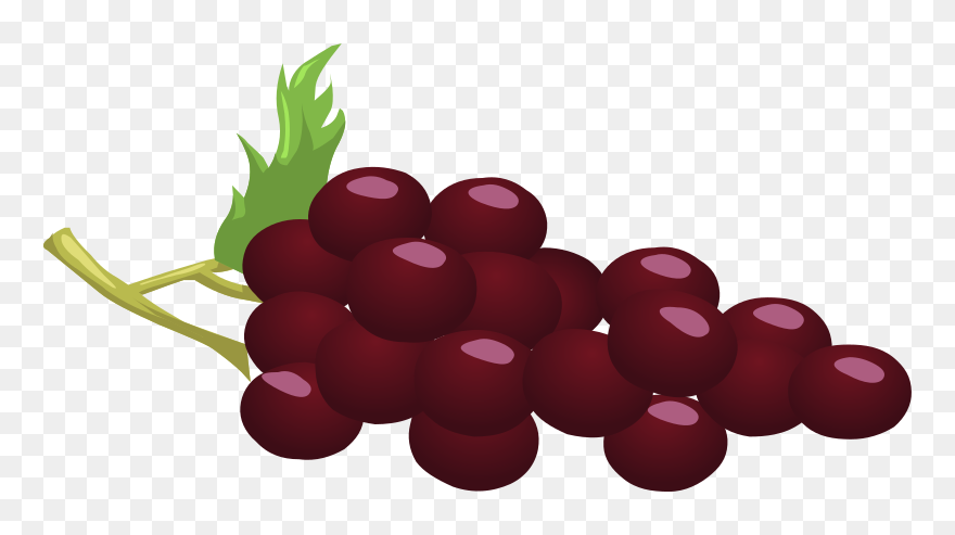 Grapes Fresh Grapes Png - Red Grape Clipart Png Transparent Png