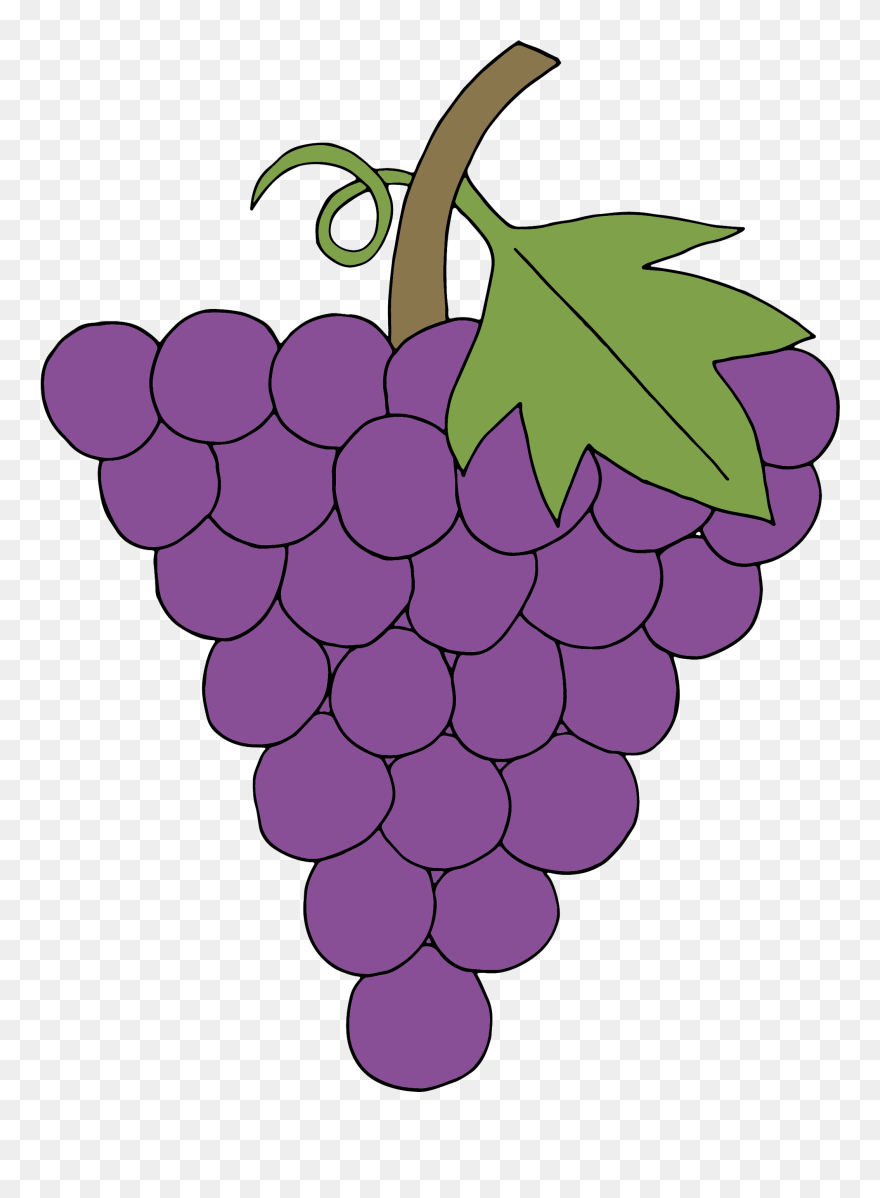 Transparent Grape Clipart - Grape - Png Download