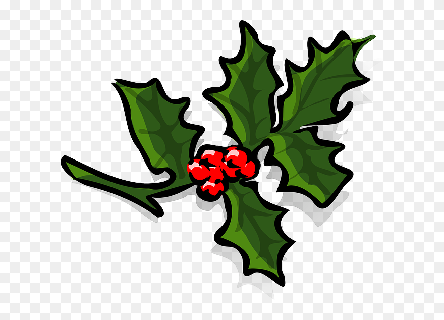 Green, Holly, Leaf, Recreation, Holiday, Plant - Holly Clip Art - Png Download