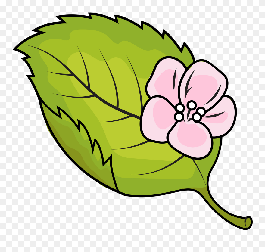 Clip Art - Png Download