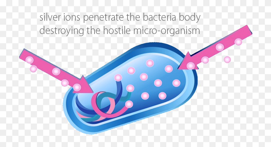Silver Ions Kill Bacteria Clipart