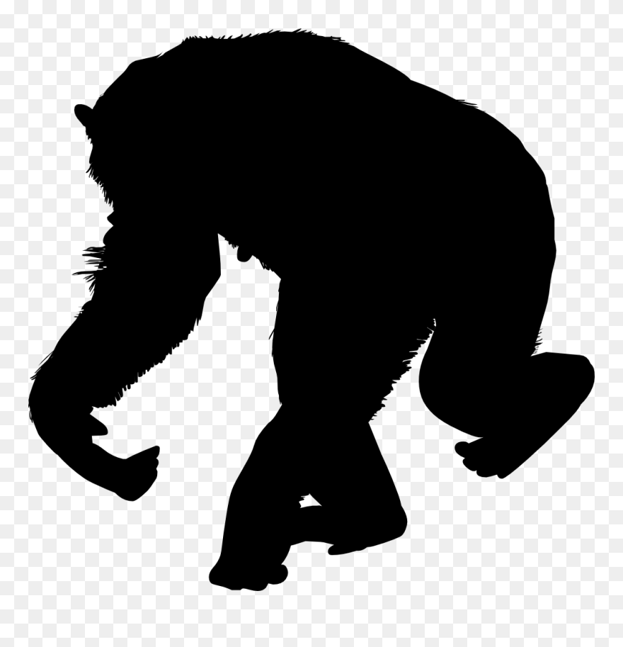 Illustration Clipart