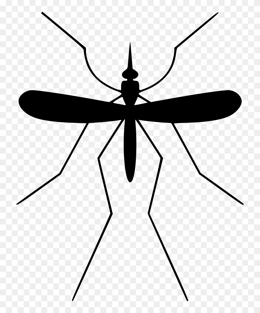 Collection Of Free Mosquito Drawing Gnat Download On - Mosquito Svg Clipart