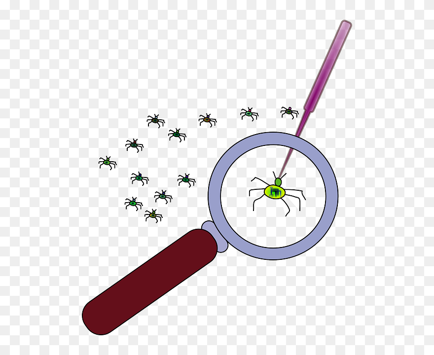 Bug, Insect, Destroy, Debugging - Debugging Clipart - Png Download