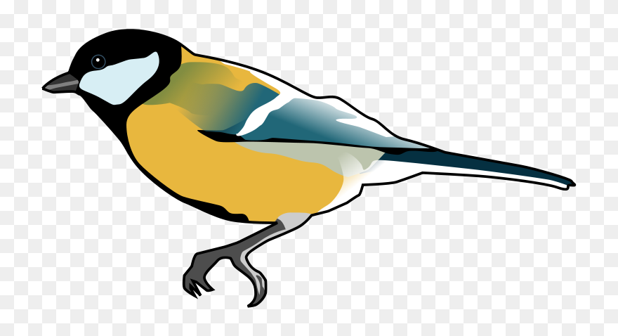 Tit Bird Transparent Background Clipart