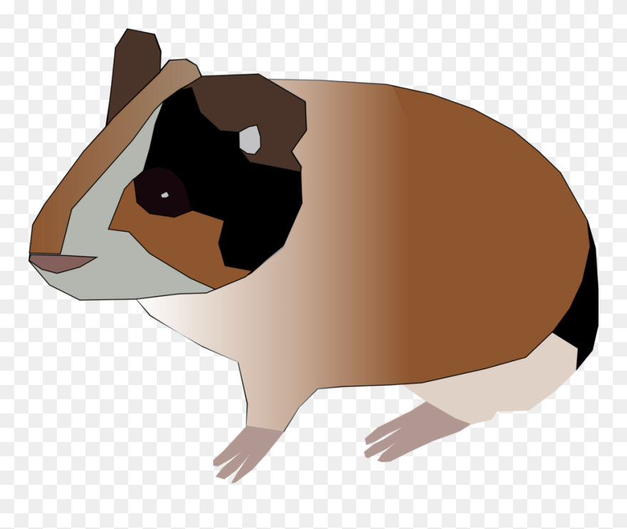 Guinea Clipart Cartoon - Guinea Pig Clip Art - Png Download