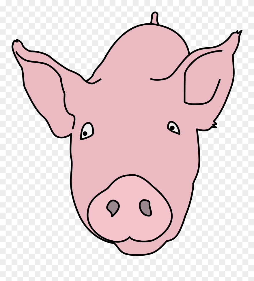 Colour Big Image Png - Colour Of A Pig Clipart