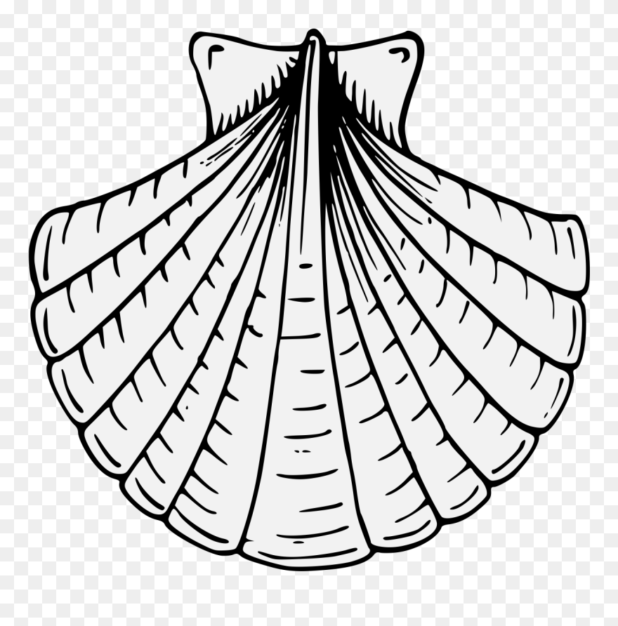 Complete Guide To Heraldry Line Art - Heraldic Scallop Shell Clipart