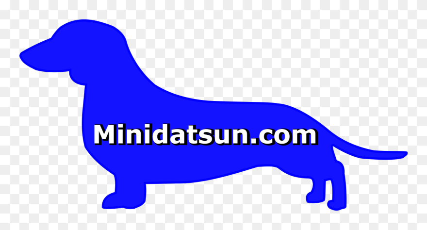 Minidatsun - Com Clipart