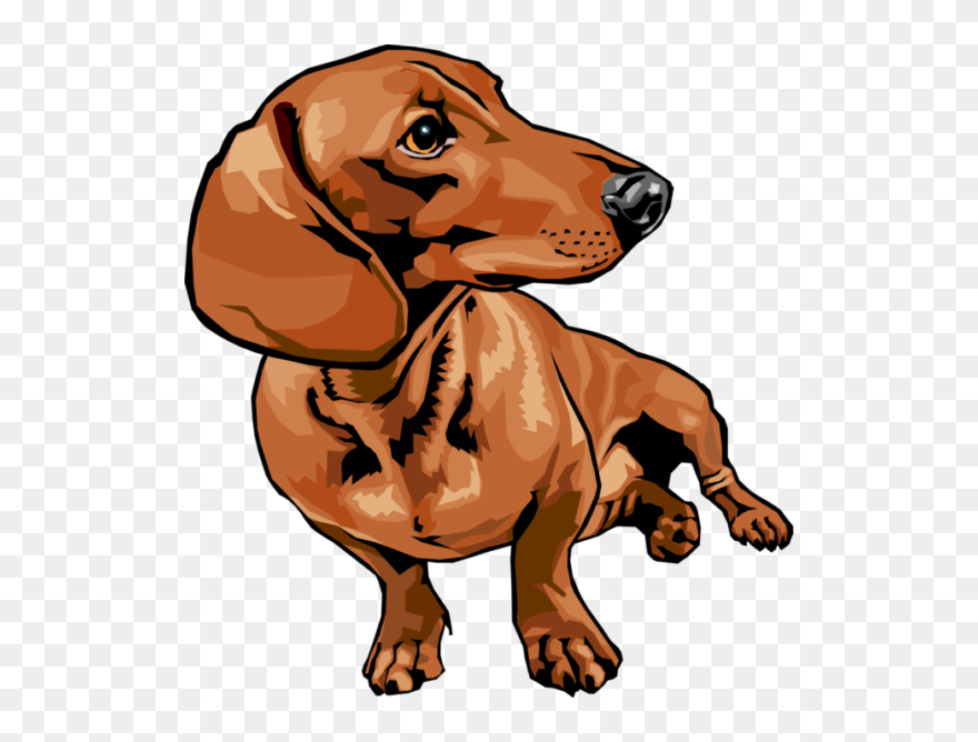 Dachshund Png33 - Fondos De Pantalla De Perro Salchicha Clipart