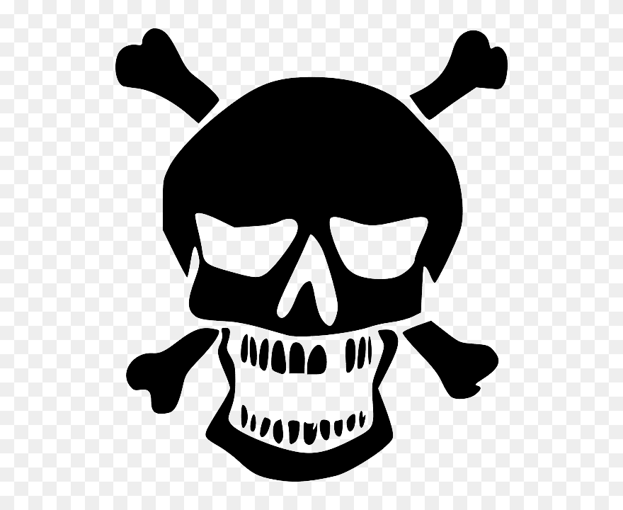 Skeleton-skull - Horror Clip Art - Png Download