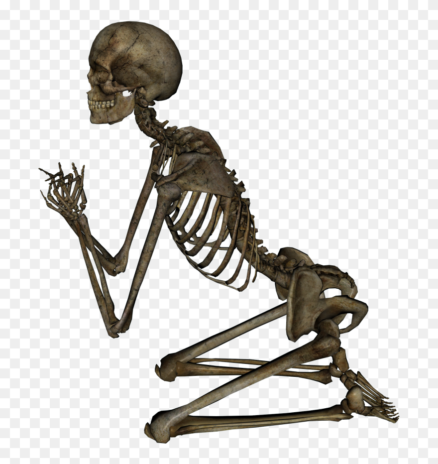Skeleton, Skull Png Image - Skeleton Png Clipart