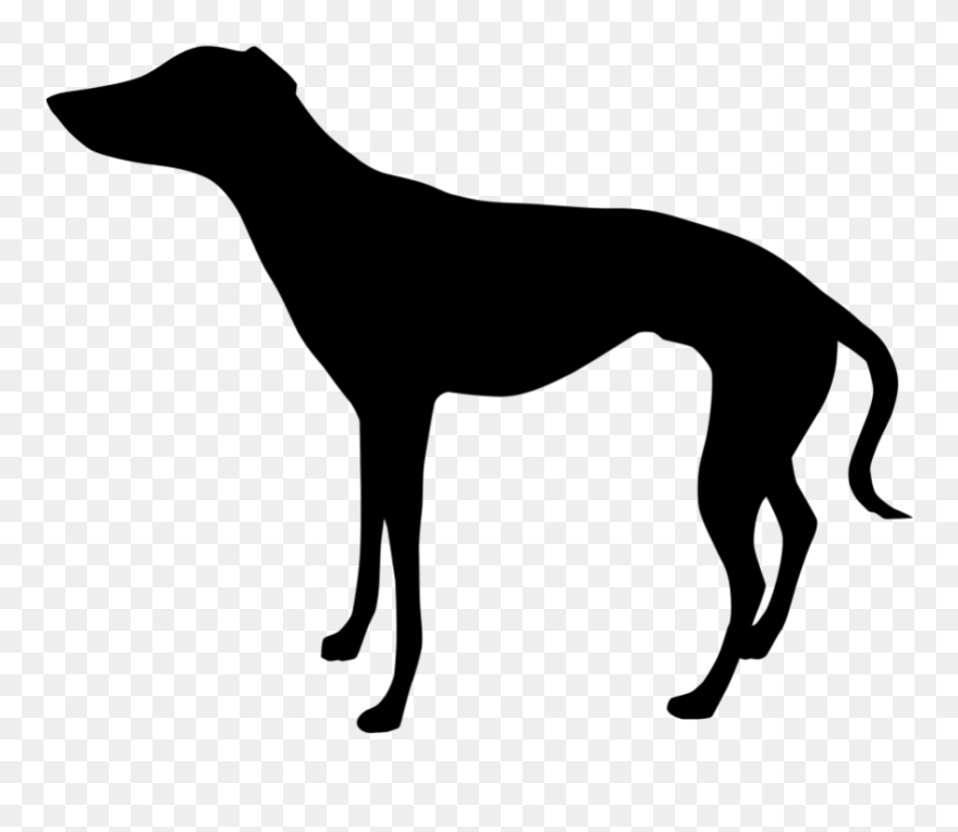 Italian Greyhound Whippet Clip Art Silhouette - Horse Side View Silhouette - Png Download