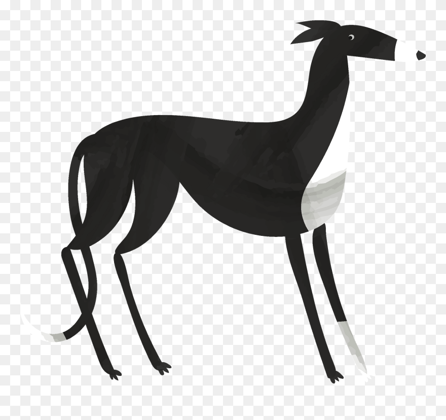 Whippet Clipart