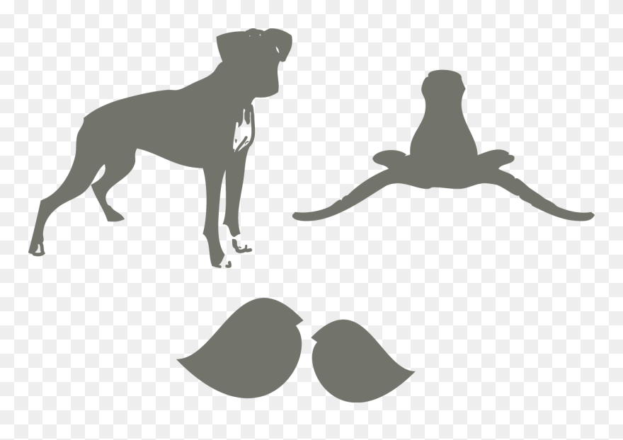 Italian Greyhound Design Classic Puppy Dog Breed - Dog Breed Clipart