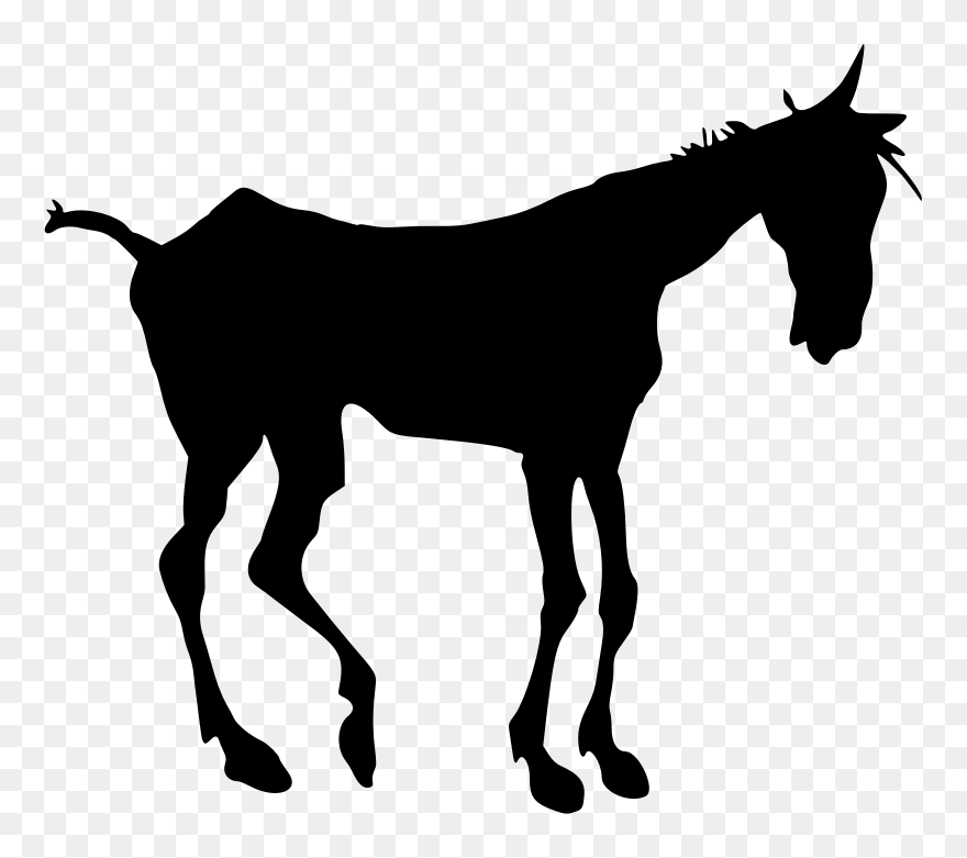 Mule Mustang Silhouette Foal Clip Art - Old Horse Silhouette - Png Download