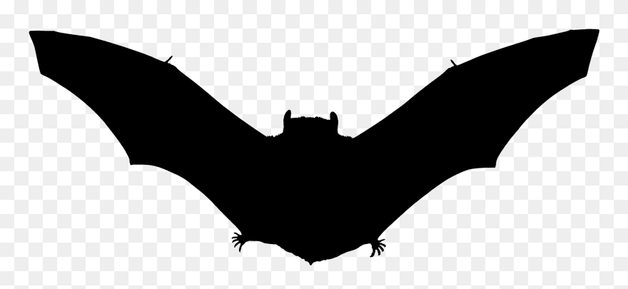 Bat Silhouette Free Download - Bat Silhouette Png Clipart