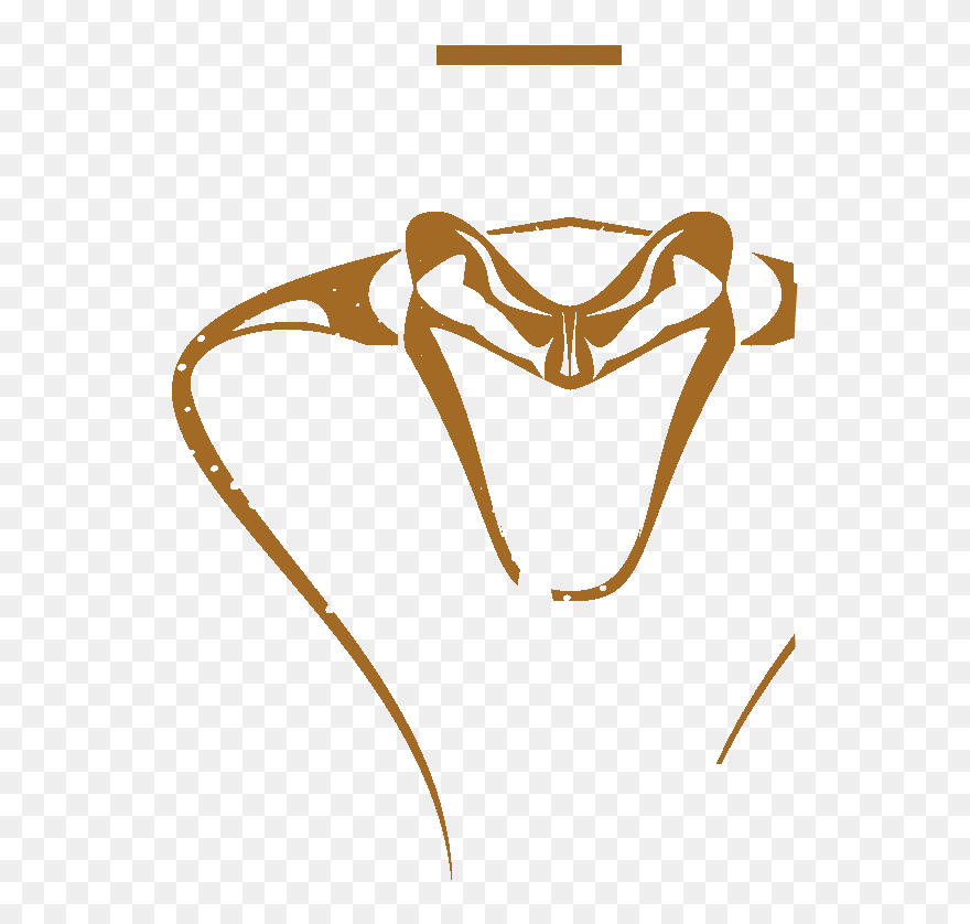 Illustration Clipart