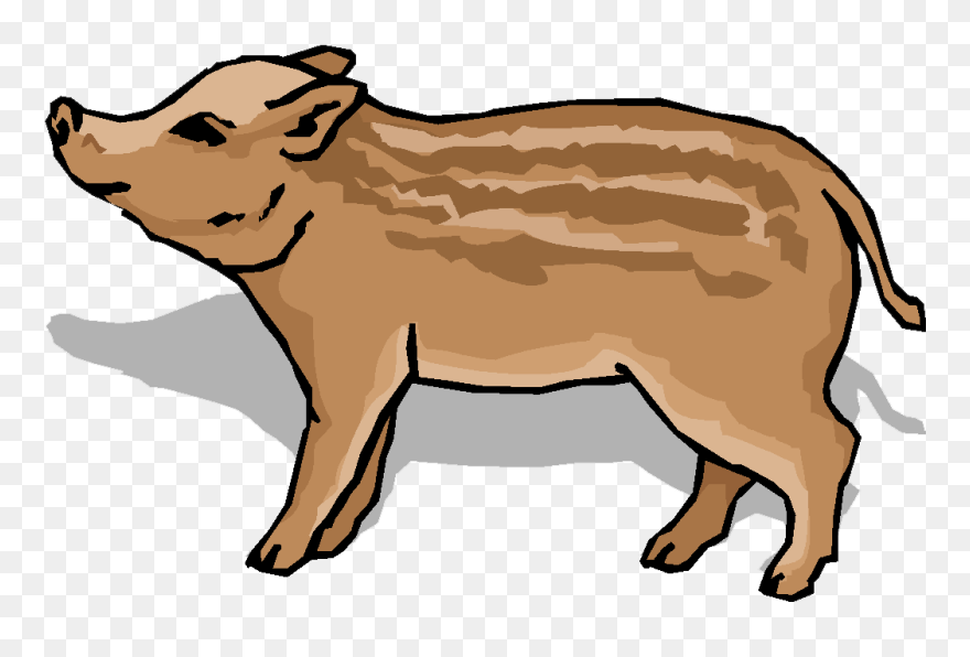 Transparent Clipart Animaux - Domestic Pig - Png Download
