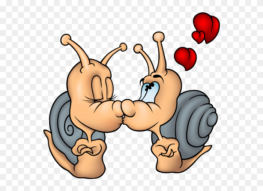 Cartoon Garden Animals Clipart