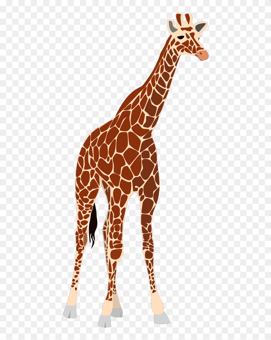 Vector Illustration Of Tall Brown Giraffe - Realistic Giraffe Clip Art - Png Download