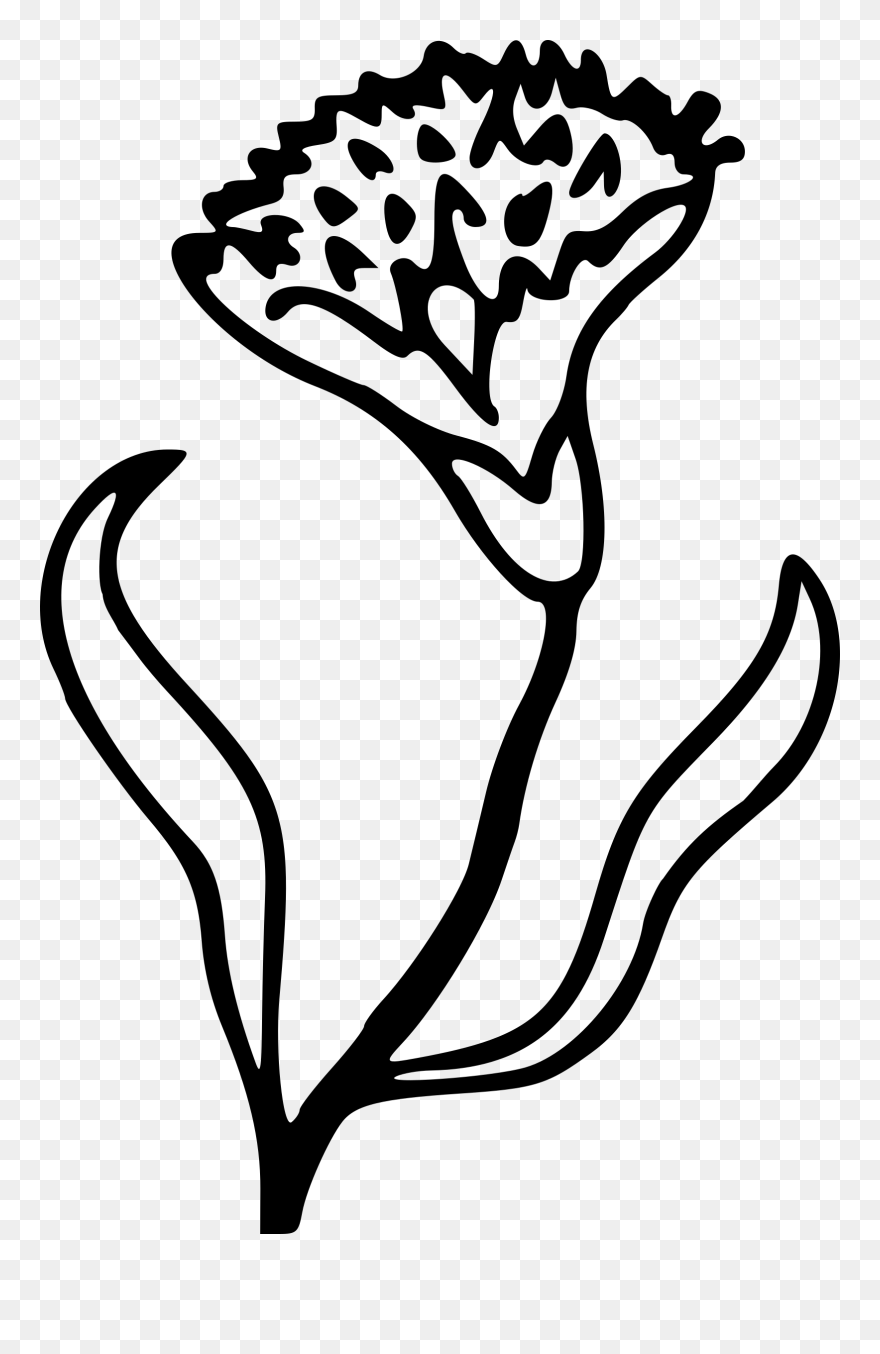 Flower 73 Clip Arts - Png Download