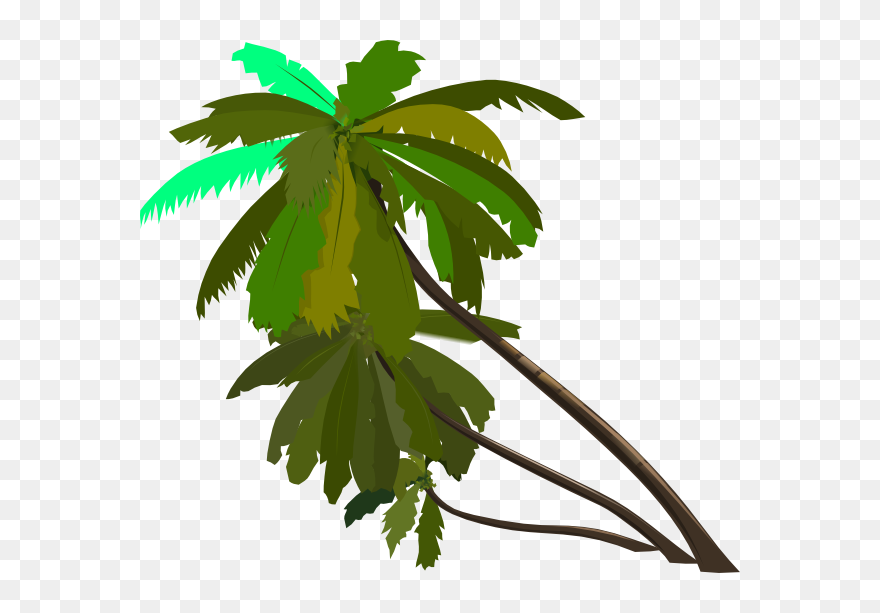 Jungle Tree Cartoon Png Clipart