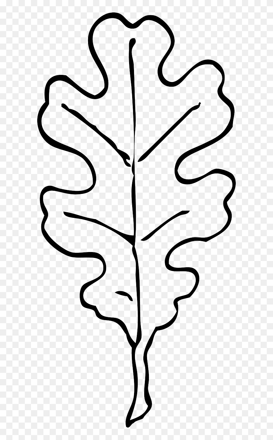 Oak - Leaves - Coloring - Pages - White Oak Leaf Clipart - Png Download