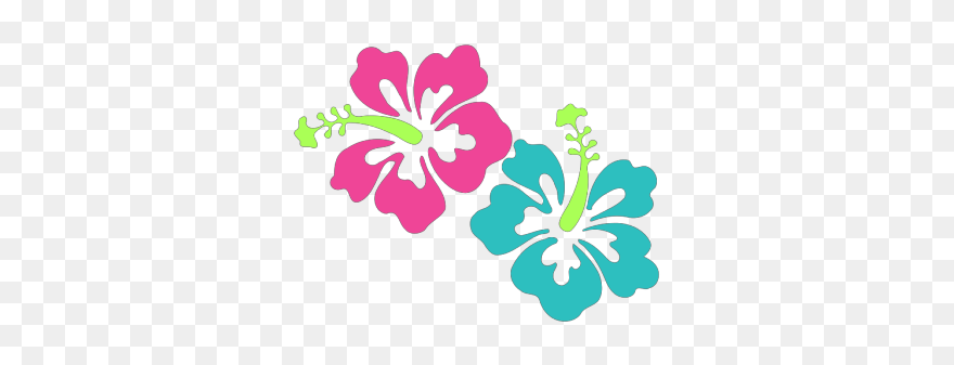 Black Swirl, Bright Hibiscus Png Icons - Transparent Background Hibiscus Flower Clipart