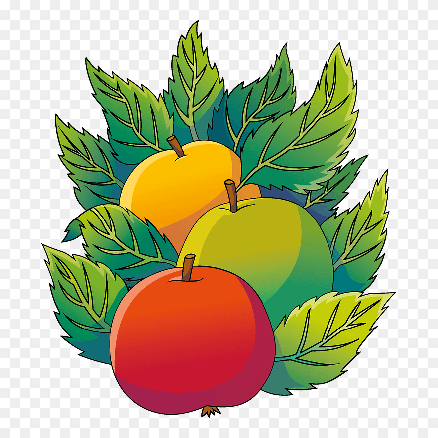 Apples Clipart - Seedless Fruit - Png Download