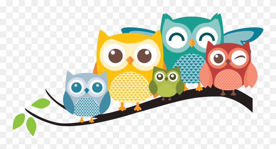 Transparent Background Owls Clipart - Png Download