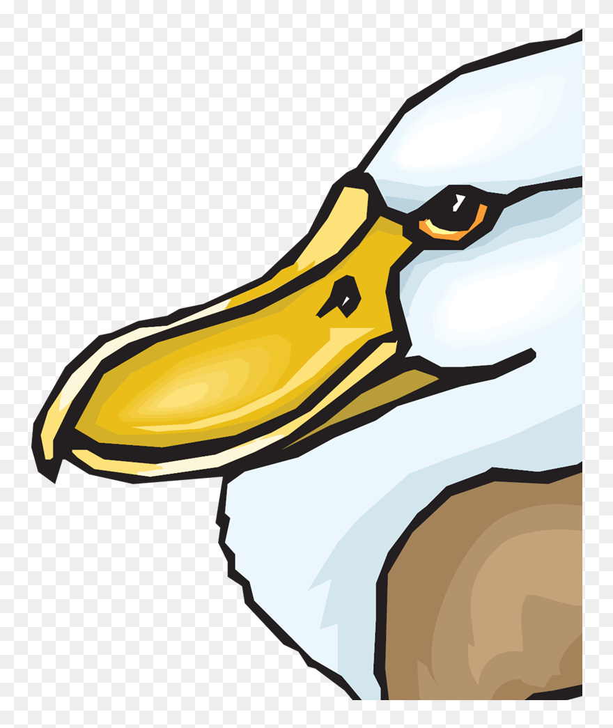 Clip Art - Png Download