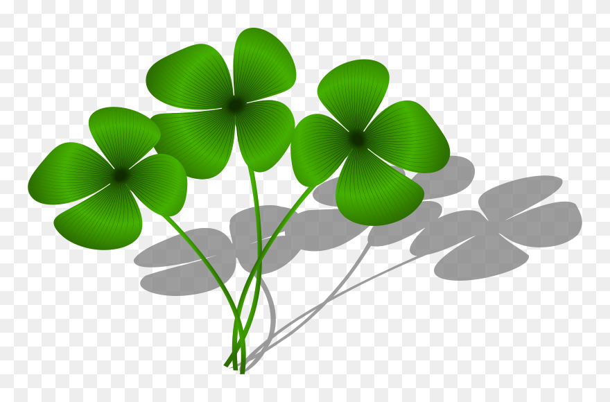 Transparent Background Four Leaf Clovers Clipart - Png Download