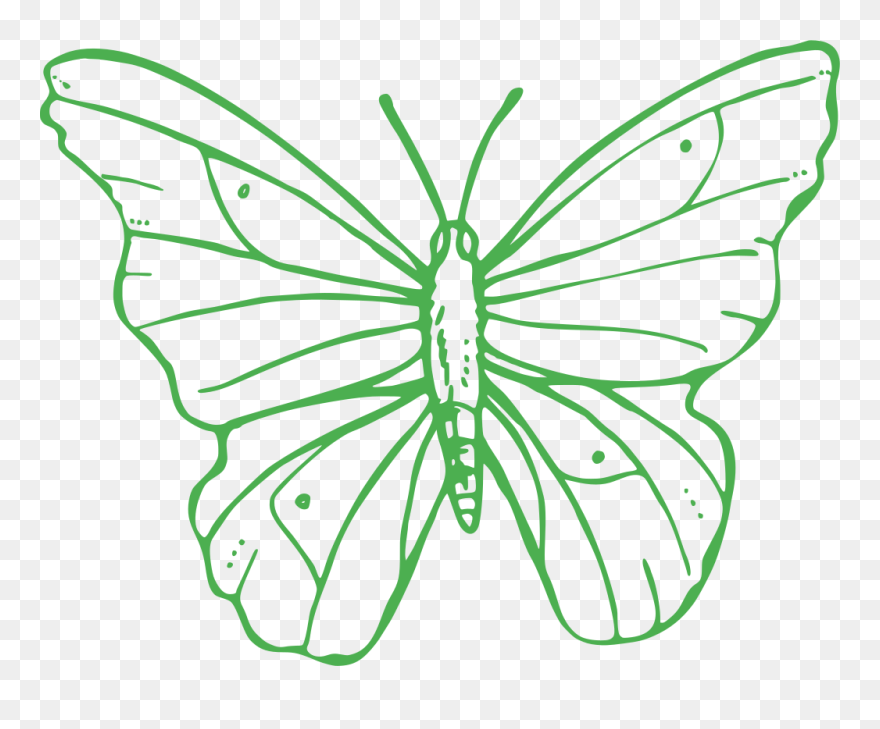 Png Image Transparent Background Butterfly Clipart