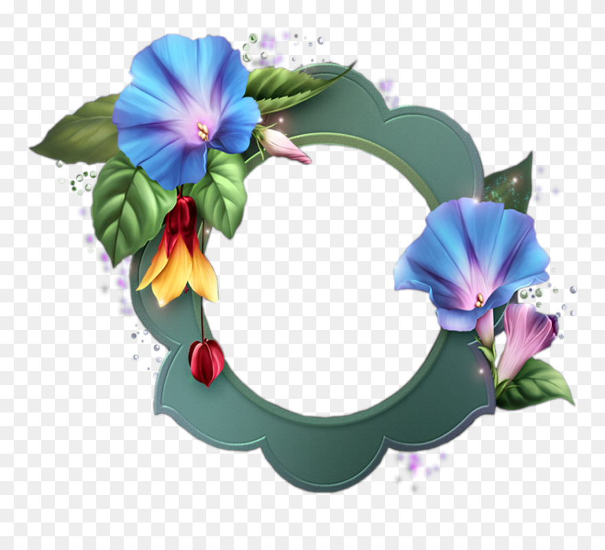 Morning Glory Clipart