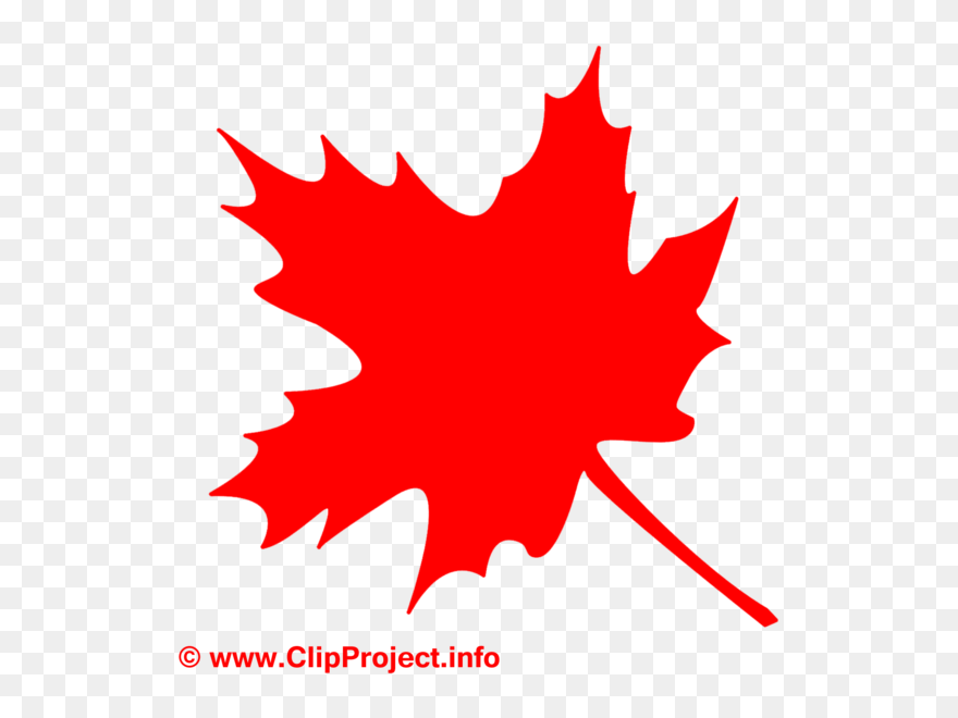 Clipart Érable Png Transparent - Red Leaf Drawing