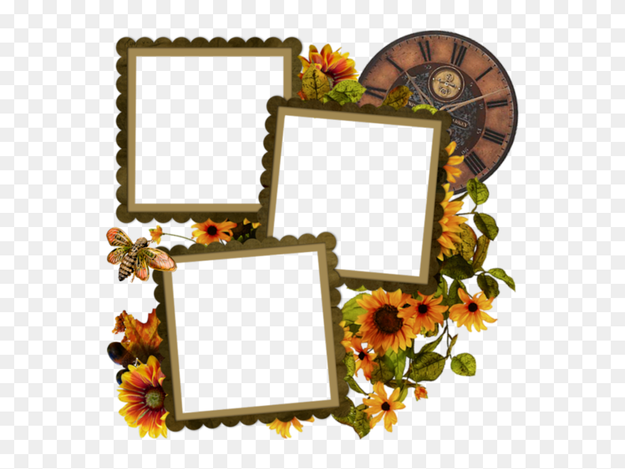 Tubes Cadres Png Clipart