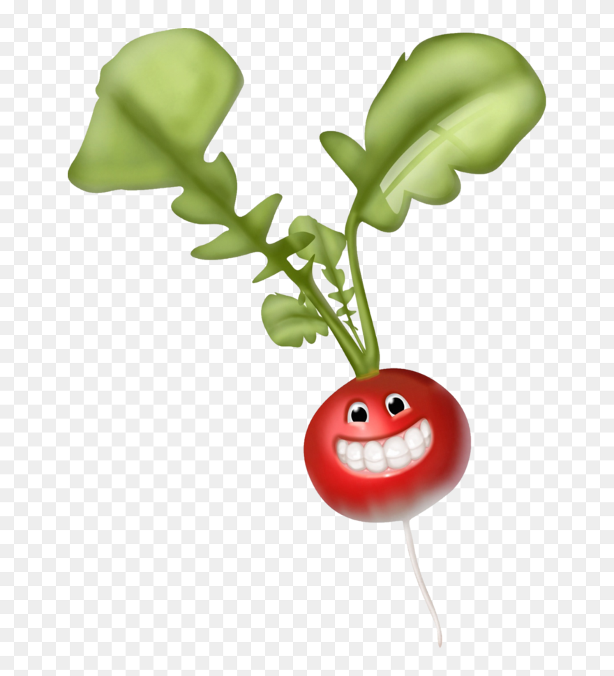 Happy Radish Clipart