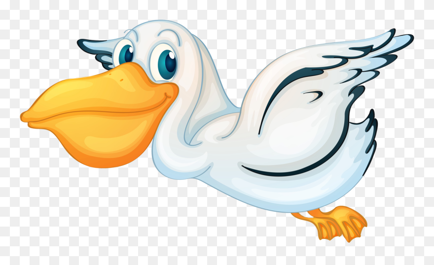  pelikanbilder Png - Pelican Clipart Transparent Background