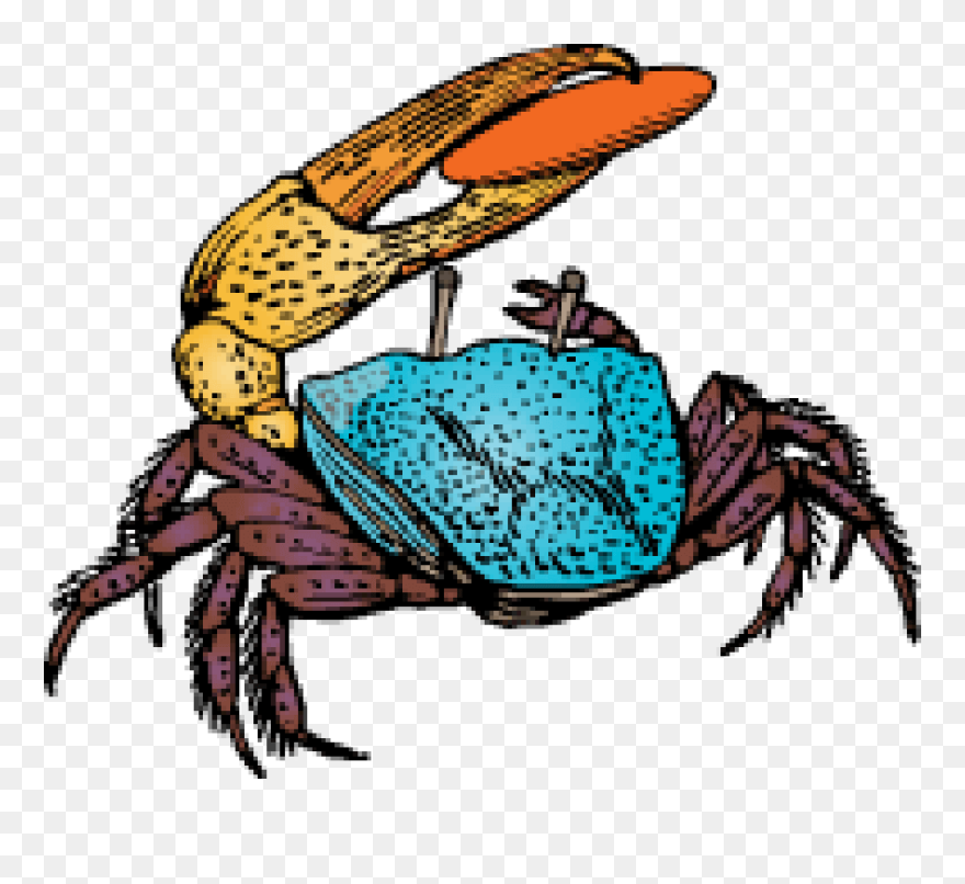 Clip Art - Png Download