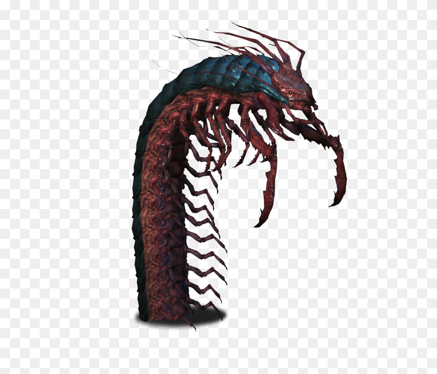 Witcher Giant Centipede Clipart