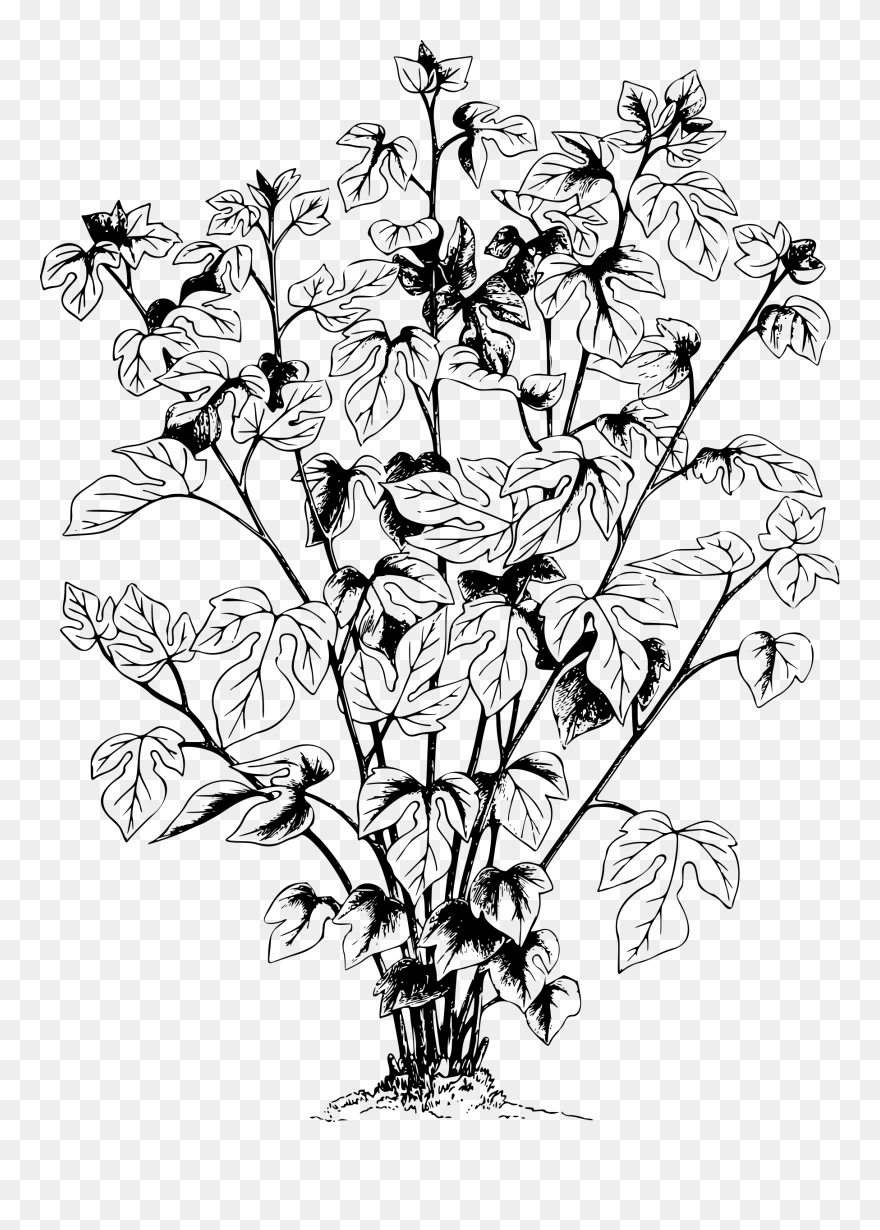 Paper Mullberry Clip Arts - Illustration - Png Download