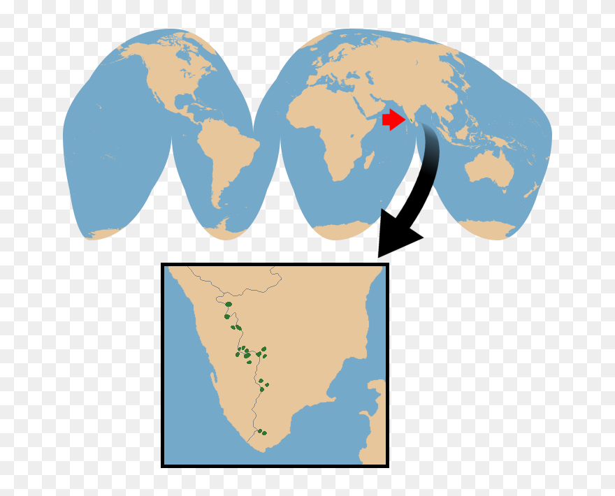 Clipart Goat Nilgiri Tahr - Eu4 Extended Timeline Province Map - Png Download