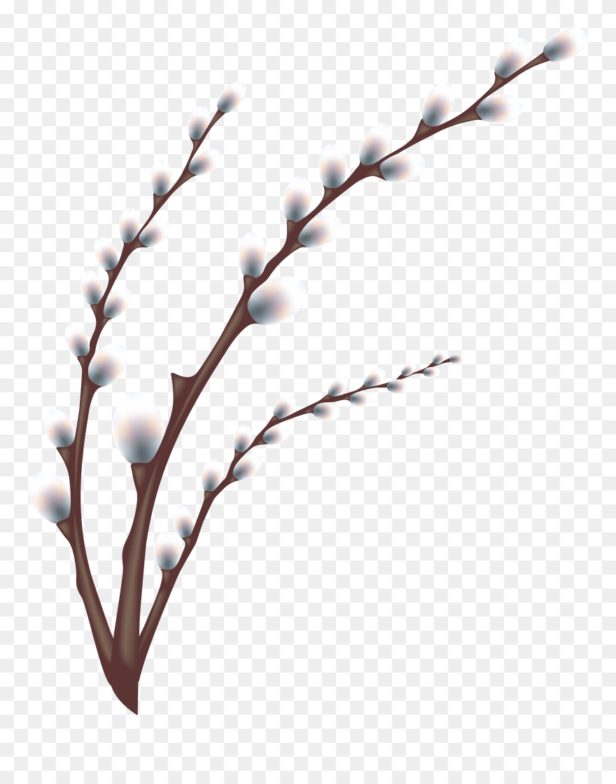 Easter Egg Tree Egg Hunt Easter Customs - Pussy Willow On Transparent Background Clipart