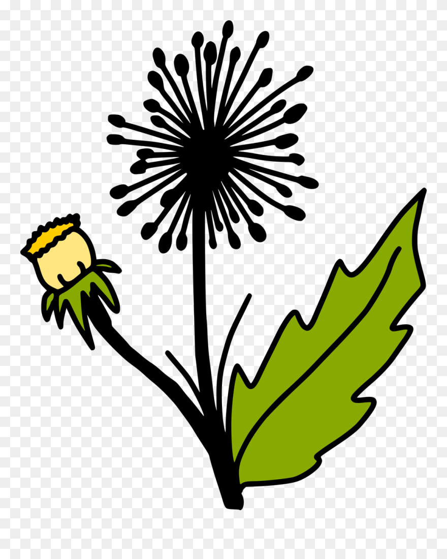 Free Dandelion Svg Cut File Clipart