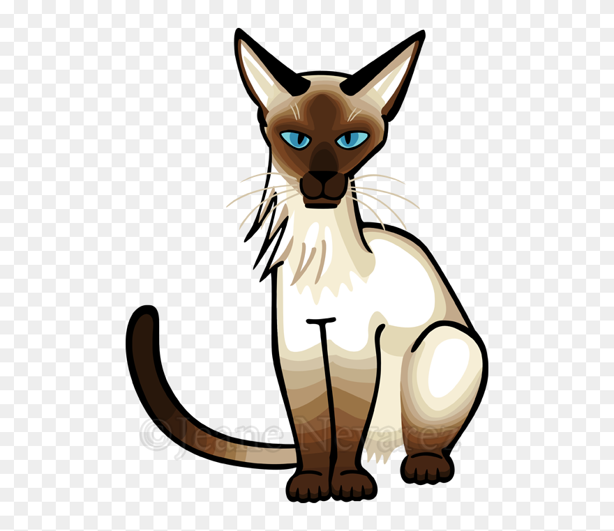 Siamese Cat Clipart