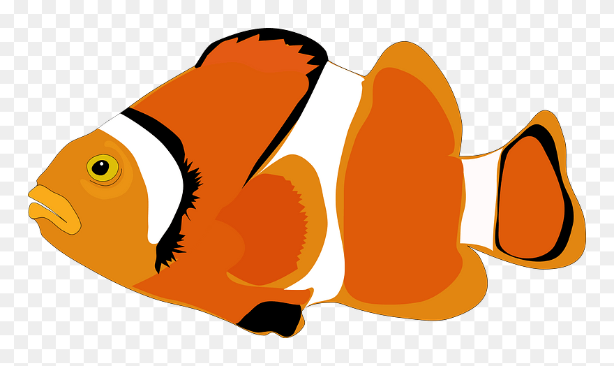 Clown Fish Clipart - Nemo Fish Png Clipart Transparent Png